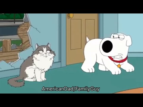 what kind of dog is brian from family guy